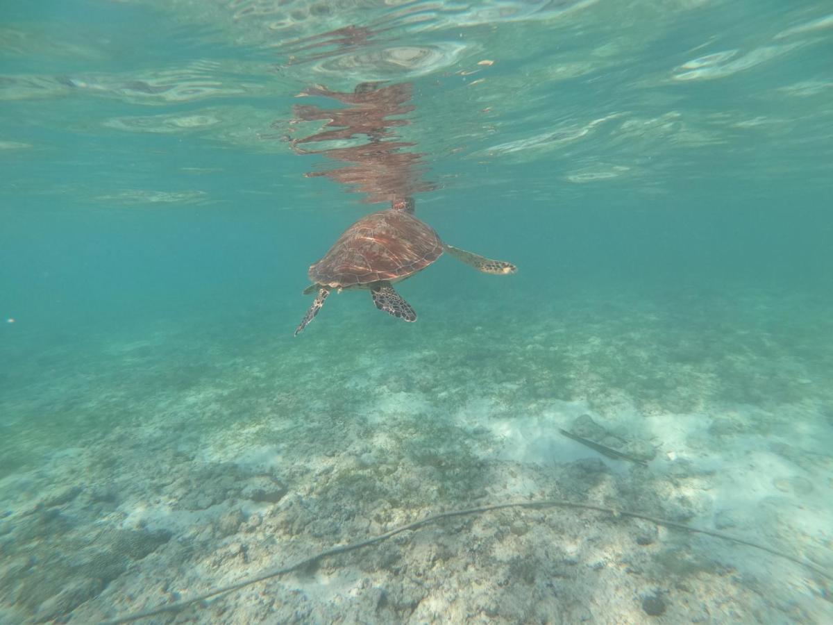 West Coast Beach House Cebu Bagian luar foto