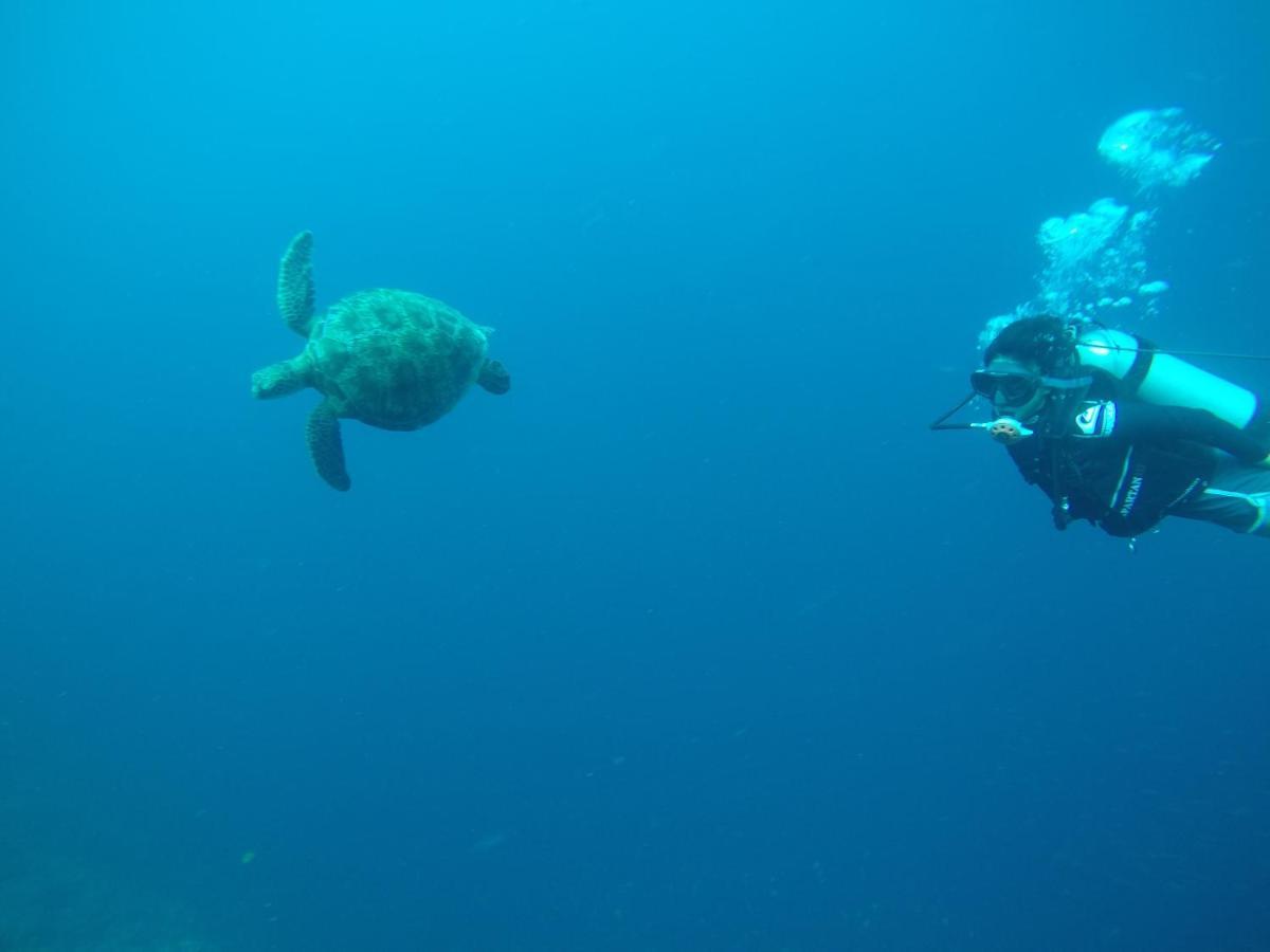 West Coast Beach House Cebu Bagian luar foto
